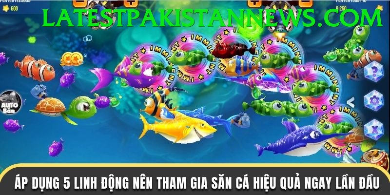Game Bắn Cá Đổi Thưởng - kuwin
