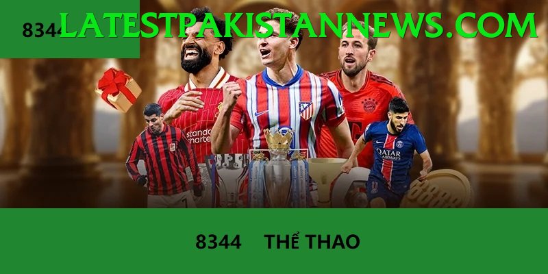 Cá Cược Thể Thao - kuwin